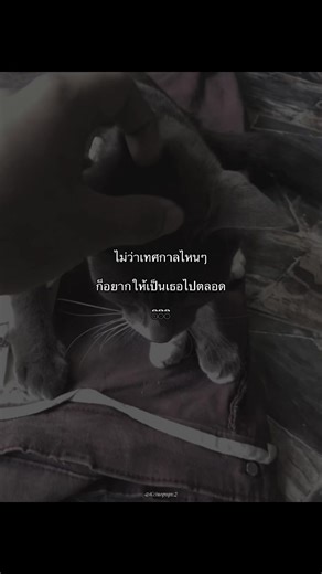 🫶🏼#รับโปรโมทเพลง #แท็กแฟน #ลงสตรอรี่ได้ #เธรดคลั่งรัก