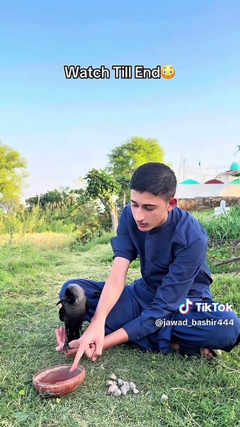Thirsty Crow Story: A Funny Tale for Kids