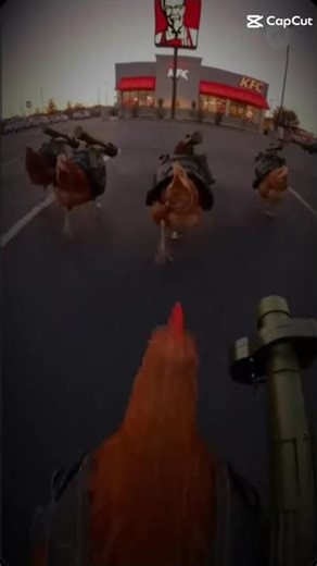 FBI OPEN UP!!!#steakwad