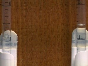 Measuring Respiratory Function in Mice Using Unrestrained Whole-body Plethysmography