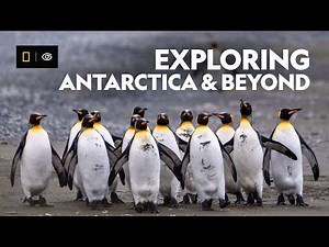 Antarctica, South Georgia & the Falklands: What to Expect?