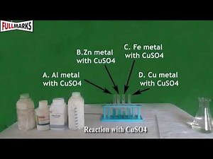 Experiment No. 3 (Reactivity of Metals) Video Lecture - Class 10