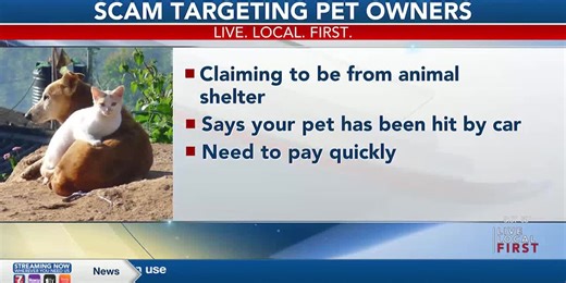 Text scam targeting pet owners making rounds