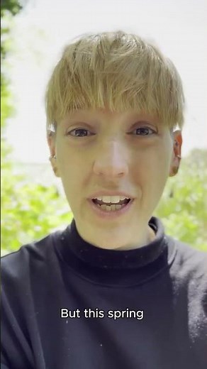 Berlin's oldest tree is getting hot