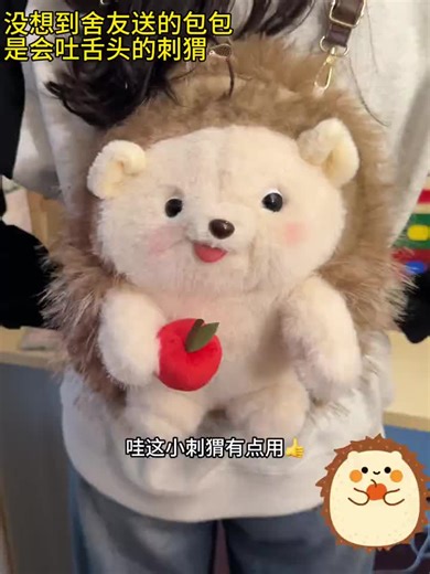 Unexpected Encounter with a Hedgehog on the Stairs