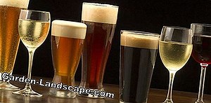 Garden Practice: Edible wild herbs determine: list with 20 herbs | 2025