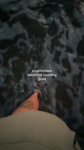 this, in n out, and mike sherm 🤌🏻 #california #sunset #huntingtonbeach #ocean #touchgrass