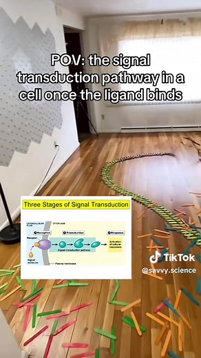 Just took AP Bio unit 4 test on this 🤞DC: @hello domino fans #apbio #bio #biology