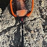 Amazon.com : 8Fans Extendable Fishing Net, Foldable Floating Landing Net,Non-Slip Hi-vis Grip, Ideal for Kayak Wading Fishing (32"/80cm Full (Fixed Pole)) : Sports & Outdoors