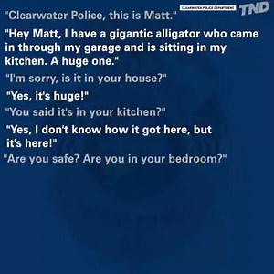 The Clearwater Police Department released the 9-1-1 call where the 11-foot alligator was inside a Clearwater, Florida home. http://bit.ly/2KgZ3lA | The National Desk - TND