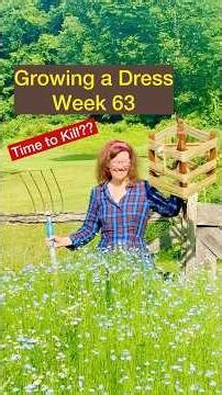 Growing a Dress Week 63