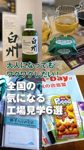 【工場見学】大人になってもワクワクしたい！全国の気になる工場6選 #工場見学 #大人の工場見学 #お出かけ情報 #シティリビング #シティリビングWeb