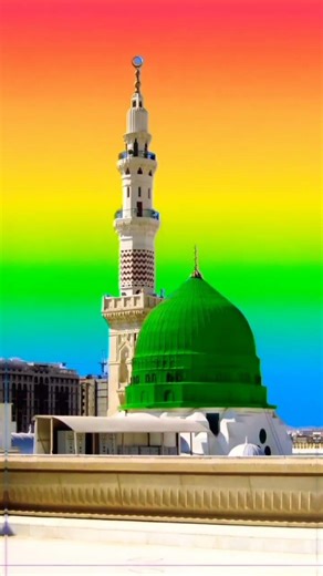 Bhar Do Jholi meri ya muhammad islamic status #shortsfeed #love #happy #madinasharif #islamic #islam