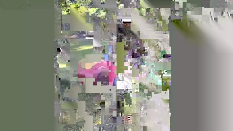 They're not just any German Shepherd, they're comedy legends!