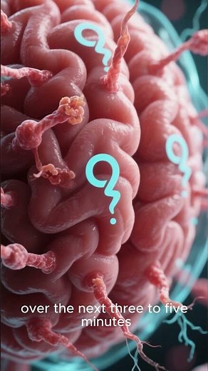 What Happens to Your Body After Death