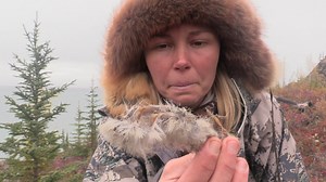 65K views · 1.4K reactions | Callie encounters wolves and thinks about following the pack. | Alone on HISTORY | Facebook