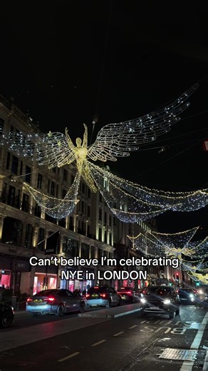 Chat I’ve done it 🎇🎆🎉 #2026 #2026goals #londonnye #london #newyearnewme