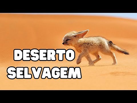 WILD SAHARA - Lots of sand and Camels - Documentary: Sahara Desert