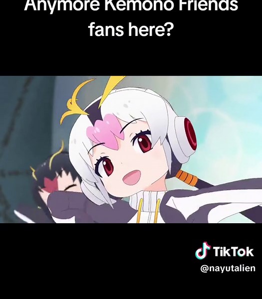 Stan PPP Penguins: The Rising Idol Group from Kemono Friends