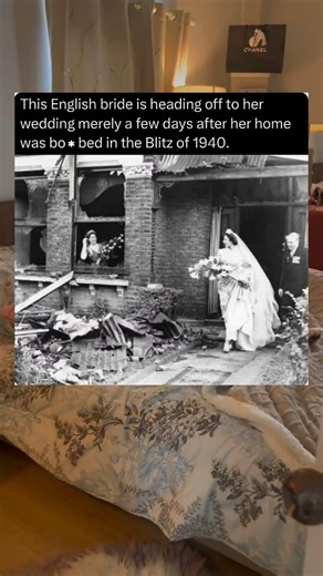 🤯😱This English bride is heading off to her wedding merely a few days after her home?❤️🥹#shorts