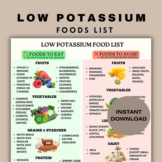 Low Potassium Food List PDF • CKD & Kidney-friendly Chart • Low Sodium Grocery List Printable • Blood Pressure Heart-friendly Meals - Etsy