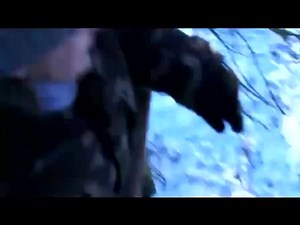 Порыбачили