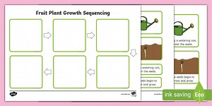Plant Growth Sequencing Activity