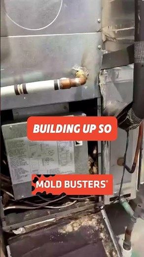 Air Handler Unit Mold FREE Virtual Inspection - Mold Busters