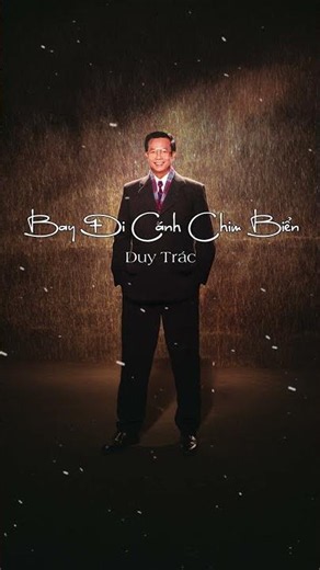 Bay Đi Cánh Chim Biển