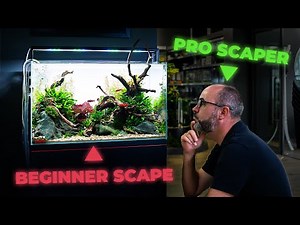 A Professional's Guide to Building Your FIRST AQUARIUM
