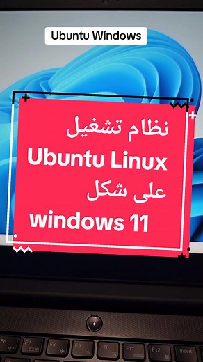 نظام تشغيل يوبنتو لينكس بشكل ويندوز 11