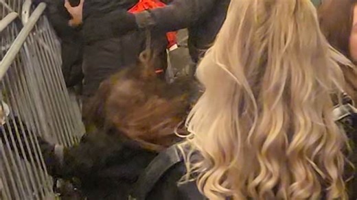 Woman knocked unconscious in Winter Wonderland mass brawl