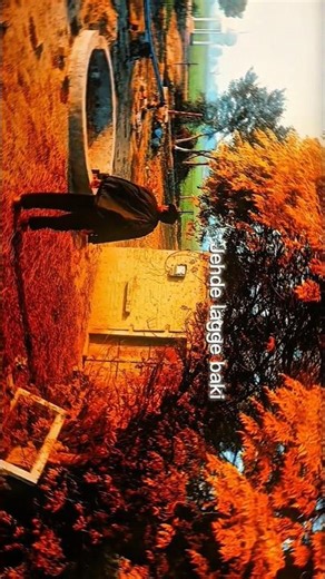 Deewane song lyrics ✍️😊. cinematic video edit ☺️.