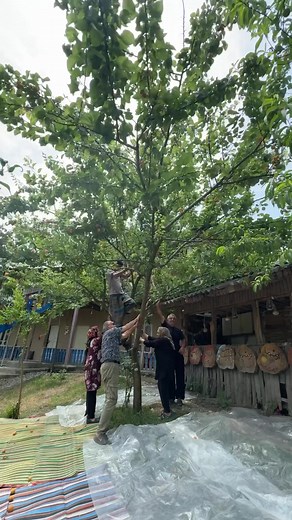 Асланова☑️ on TikTok