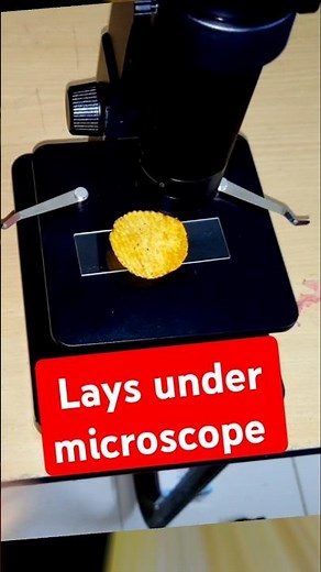 Lays ( potato chips) under the microscope