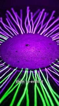 The Secret to Animal Glow! ✨