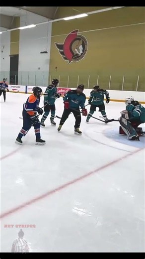 good goal - Hey Stripes! The Micd Up GoPro Hockey Refcam