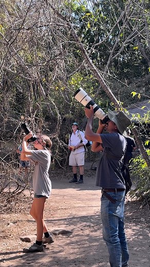 Capturing Madagascar's Lemurs: A Wildlife Photography Journey