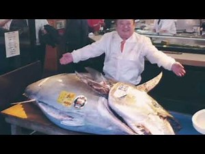 史上最高額5億円超！「一番マグロ」とは何が“1番”なのか？二番マグロの驚き価格も判明