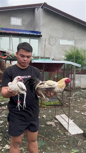 Ganda ng Kanawayon: Farm Life Vlogs ni Aron