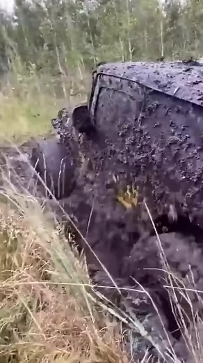 1.3K views · 28 reactions | Swamp donkey | Offroad Addicts | Facebook