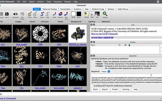 在ChimeraX中使用AlphaFold 预测蛋白复合体