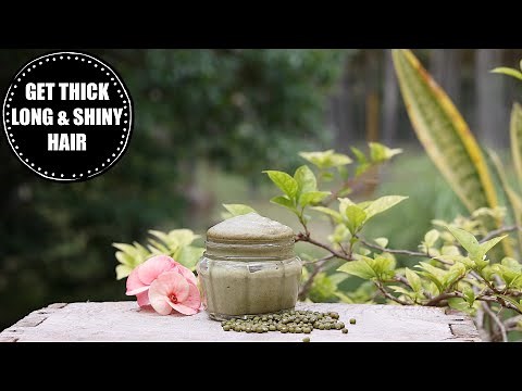 Apply This Weekly Twice & Get Thicker, Longer & Shiner Hair | Protein Hair Growth Pack