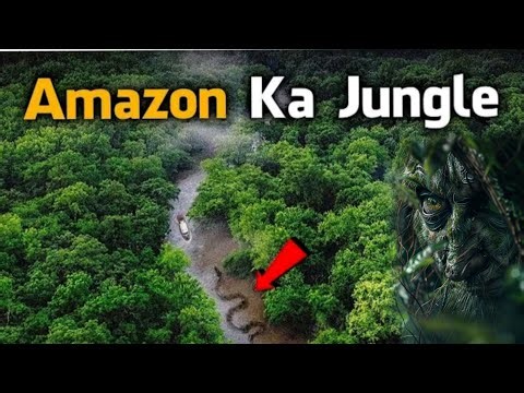 Amazon Jungle Ka Rahasya Hindi Mein | Amazon Rainforest Forest Video Hindi - [ Hindi Documentary]