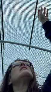 2.9K views · 43 reactions | I’ve been pleased with my mini hoop-house/high-tunnel for the garden this season, but I have noticed a few issues around water collecting… here’s how I’m addressing some of that for now to (hopefully) expand the tent’s life.#garden #gardening #wintergardening #hoophouse #greenhouse #hightunnel #backyardgardening #zone7 #zone8 | Lil Urban Farm | Facebook