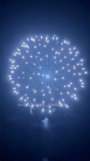 Have you ever seen this effect before 🤯1.3G display Shell fireworks #shell #fireworks