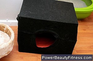 Mitkä Elimet Tuottavat Testosteronia Kivesten Lisäksi? 💪💪 Kaikki Kunto Ja Terveet Elämäntavat - 2025