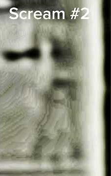 Pitfalls Bacteria sounds (Original discovered!)