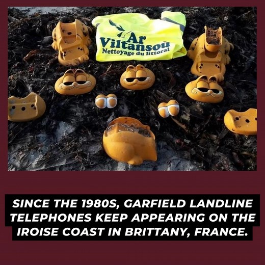 Garfield Phones are Washing up on French Beaches #mystery #garfield #beach | causes.com