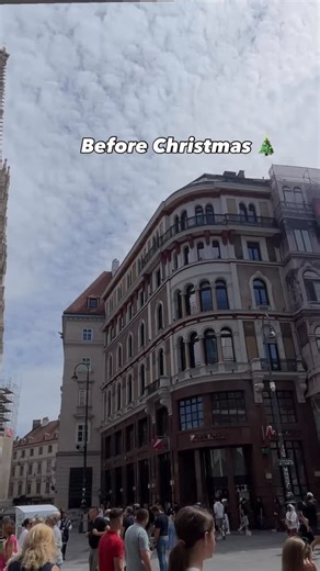 The crown jewel of Vienna’s skyline ✨ St. Stephen’s Cathedral (Stephansdom) towers over Stephansplatz, especially magical during Christmas with the historic market at its feet. This Gothic masterpiece has witnessed over 850 years of Viennese history. 📍 Stephansplatz, Vienna Center ⛪ Built: 1147-1578 📏 South Tower: 136 meters tall Save for your Vienna bucket list! Follow @wienvibez for daily magic #stephansdom #ststephenscathedral #christmasinvienna #gothicarchitecture #christmasmarket | Wien V